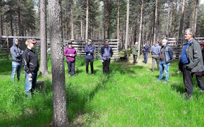 Stakeholder and citizens meetings in Geyer, Sakatti and Seville